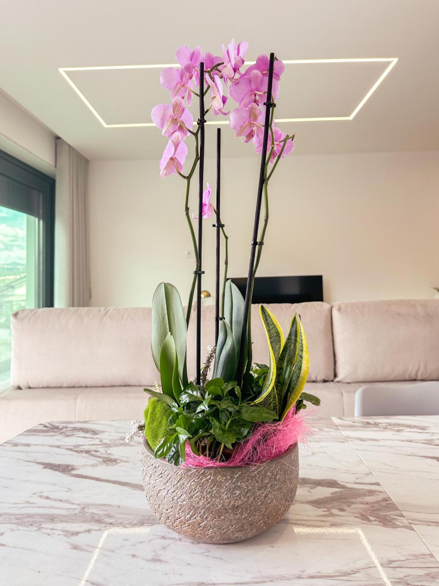 Flora Guest House Marco de Canavezes Exteriör bild